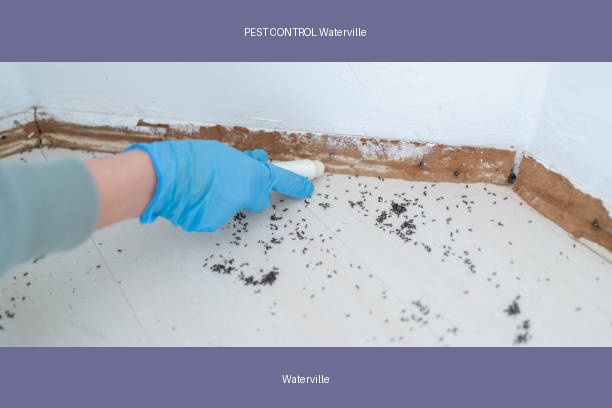 PEST CONTROL Waterville
